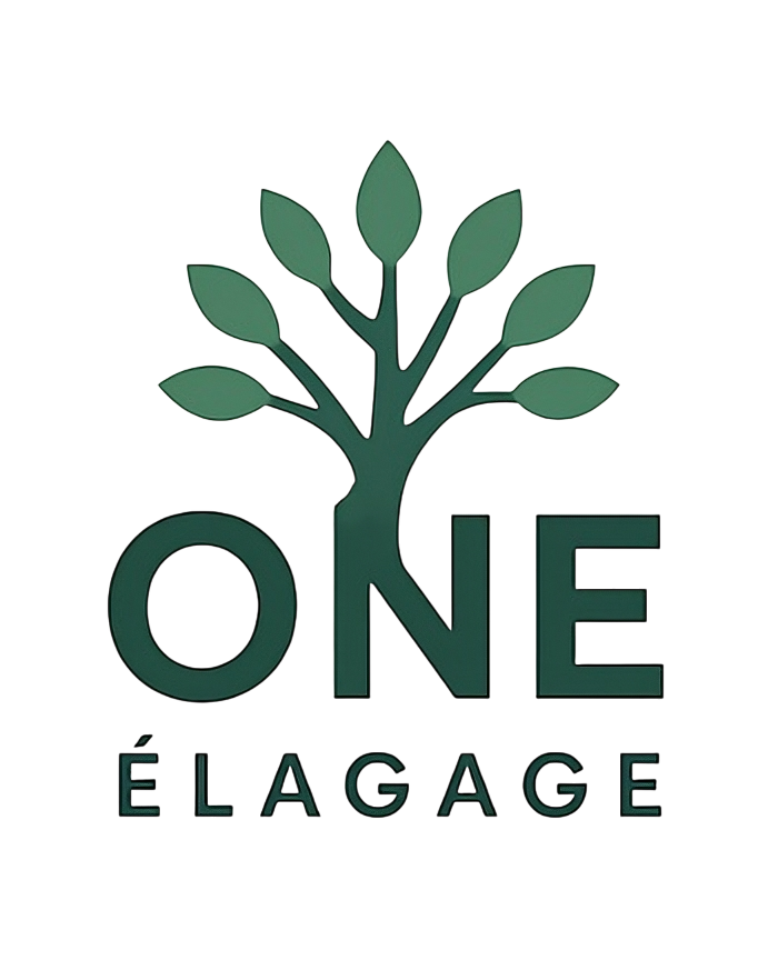 ONE ÉLAGAGE Logo